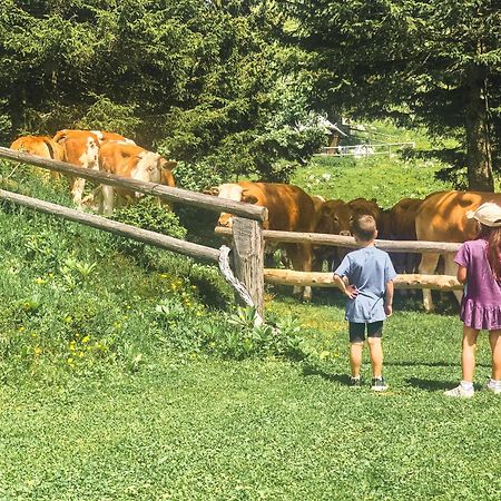 Velika Planina - Chalet Stane - Alps Стаховица Экстерьер фото