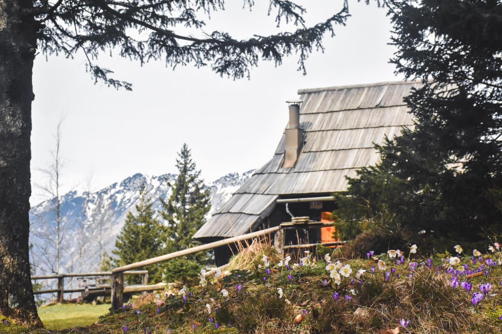 Velika Planina - Chalet Stane - Alps Стаховица Экстерьер фото