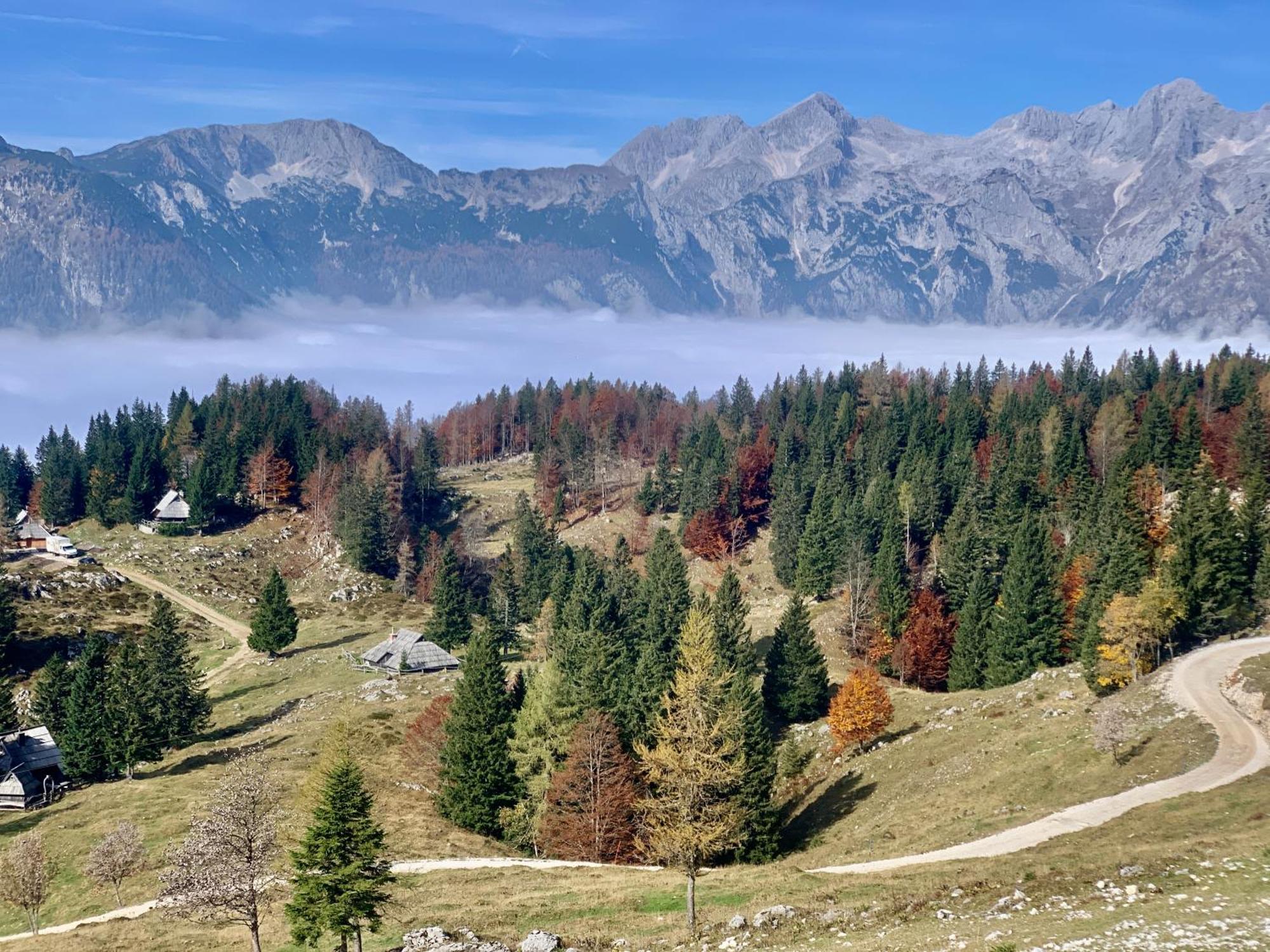 Velika Planina - Chalet Stane - Alps Стаховица Экстерьер фото