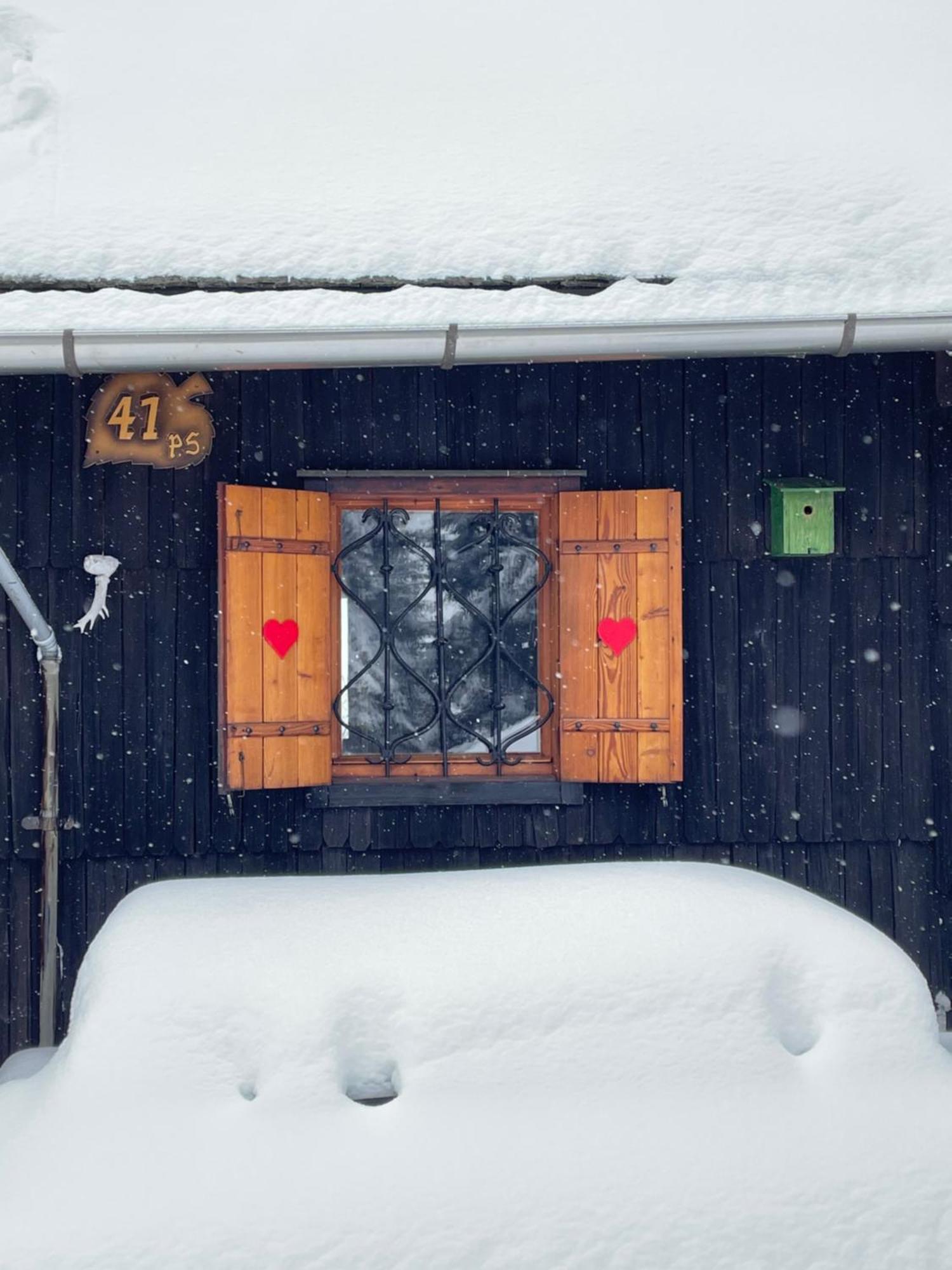 Velika Planina - Chalet Stane - Alps Стаховица Экстерьер фото