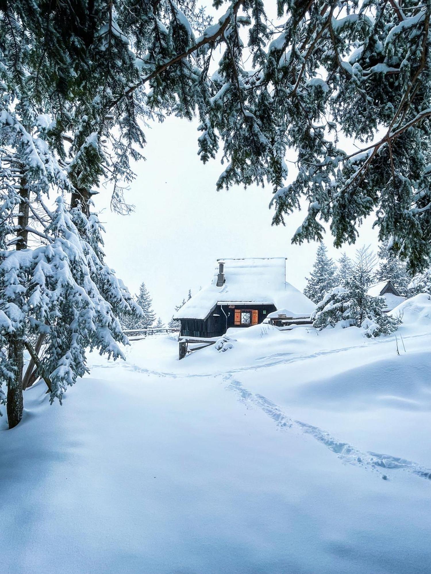 Velika Planina - Chalet Stane - Alps Стаховица Экстерьер фото